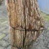 Grabstein versteinertes Holz 24010