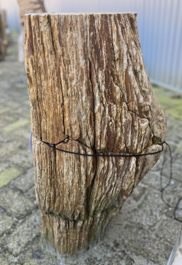 Grabstein versteinertes Holz 24010