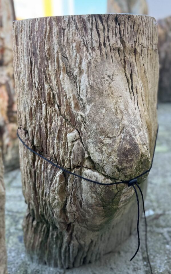 Grabstein versteinertes Holz 24010
