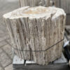 Grabstein versteinertes Holz 35071