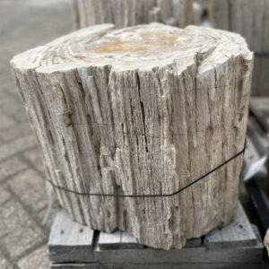 Grabstein versteinertes Holz 35071