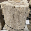 Grabstein versteinertes Holz 35071