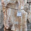 Grabstein versteinertes Holz 35075