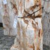 Grabstein versteinertes Holz 35075