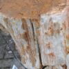 Grabstein versteinertes Holz 35075