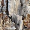 Grabstein versteinertes Holz 50055