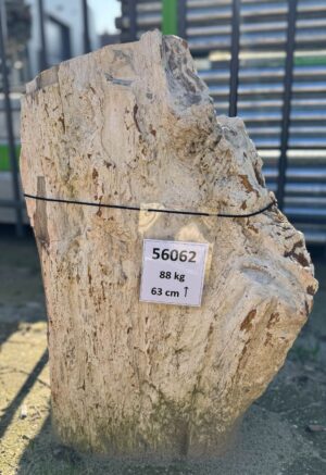 Grabstein versteinertes Holz 56062