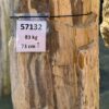 Grabstein versteinertes Holz 57132