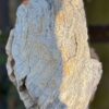 Grabstein versteinertes Holz 57132
