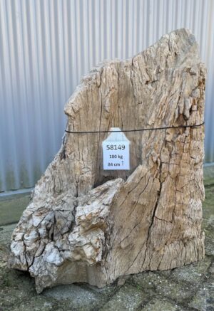 Grabstein versteinertes Holz 58149