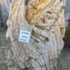 Grafsteen versteend hout 47059