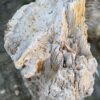 Grafsteen versteend hout 47059