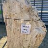 Grafsteen versteend hout 56062