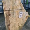 Grafsteen versteend hout 56062
