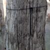 Grafsteen versteend hout 57149