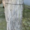 Grafsteen versteend hout 57149