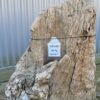 Grafsteen versteend hout 58149