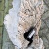 Grafsteen versteend hout 58149