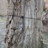 Grafsteen versteend hout 58149