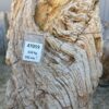 Lápida madera petrificada 47059