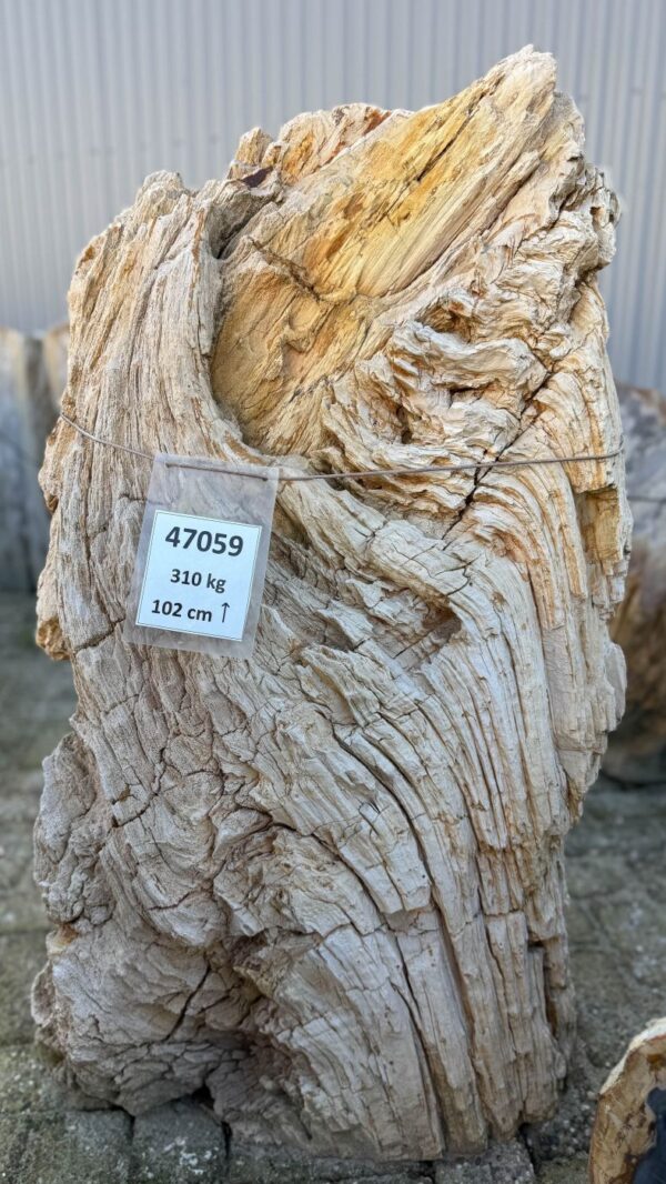 Lápida madera petrificada 47059