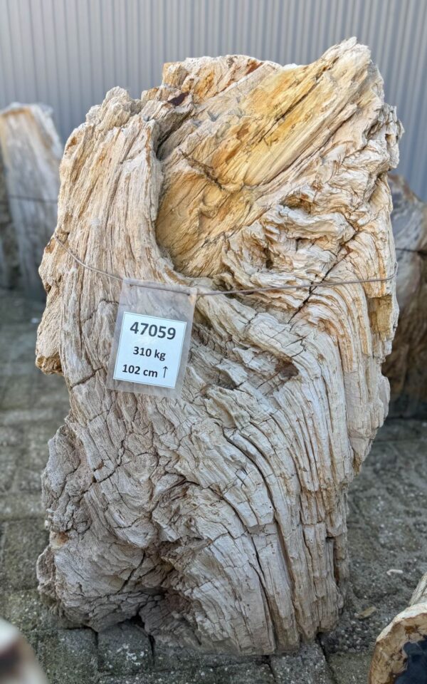 Lápida madera petrificada 47059