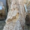 Lápida madera petrificada 47059