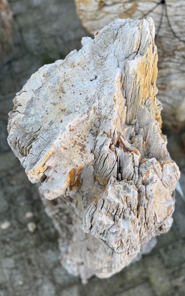 Lápida madera petrificada 47059
