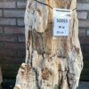 Lápida madera petrificada 50055