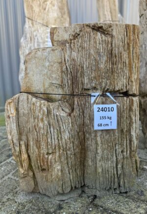 Memorial stone petrified wood 24010
