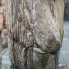 Memorial stone petrified wood 24010