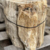 Memorial stone petrified wood 34090