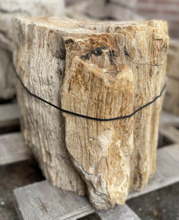 Memorial stone petrified wood 34090