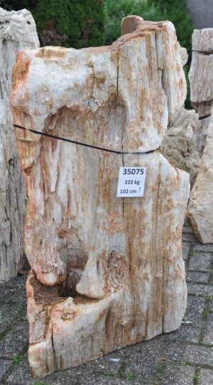 Memorial stone petrified wood 35075