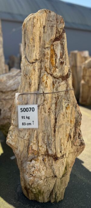 Memorial stone petrified wood 50070