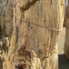 Memorial stone petrified wood 50070