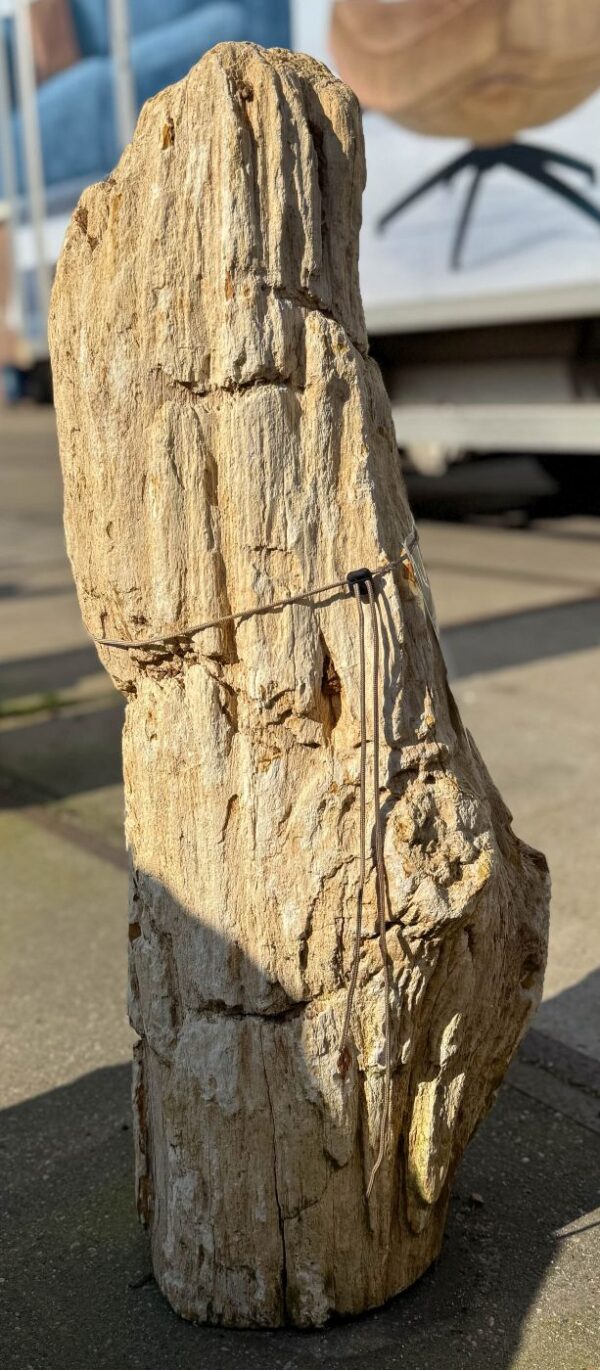 Memorial stone petrified wood 50070