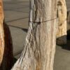 Memorial stone petrified wood 50297