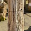 Memorial stone petrified wood 50297