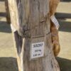 Memorial stone petrified wood 50297