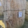 Memorial stone petrified wood 55119