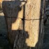 Memorial stone petrified wood 55119