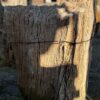 Memorial stone petrified wood 55119
