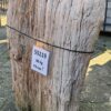 Memorial stone petrified wood 55119