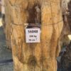 Memorial stone petrified wood 56048