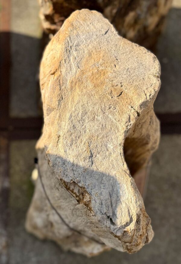 Memorial stone petrified wood 56048