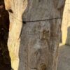 Memorial stone petrified wood 56048
