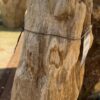Memorial stone petrified wood 56048