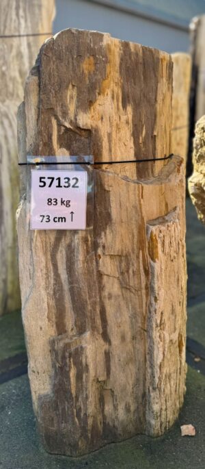 Memorial stone petrified wood 57132