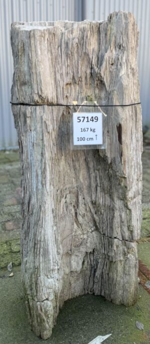 Memorial stone petrified wood 57149
